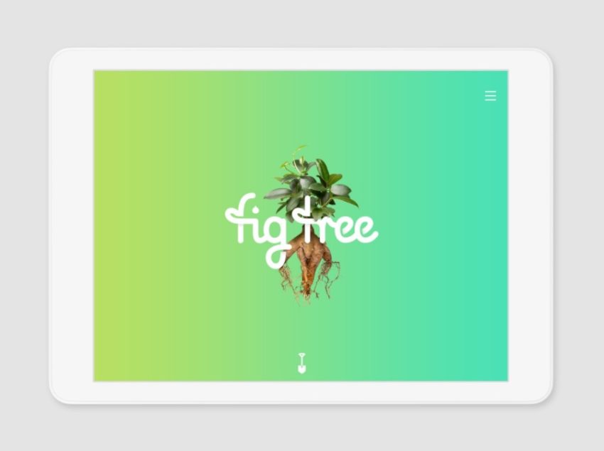 fig-tree-digital-website-dia-awards-2017-adelaide-review