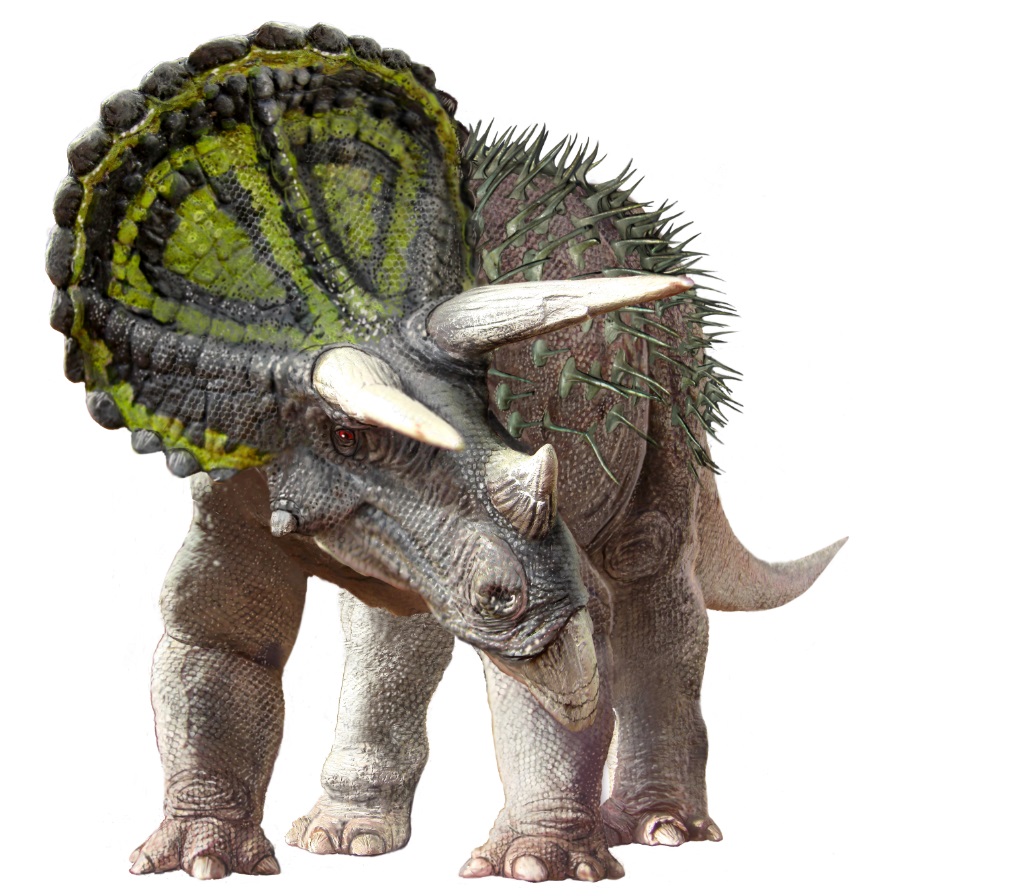 bird-dinosaur-revolution-triceratops-sa-museum-adelaide-review