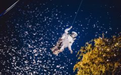 gratte-ciel-womadelaide-2018-adelaide-review-3