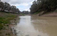 murray-darling-adelaide-review